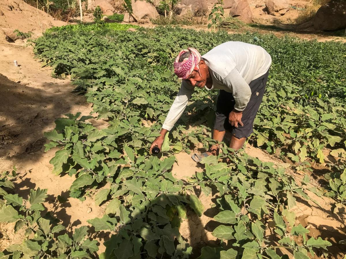 Eco Nubia Villa Aswan Luaran gambar